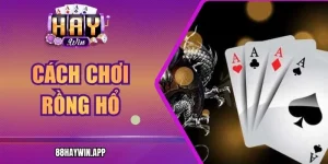 Cách Chơi Rồng Hổ Haywin - Chiến Lược Đơn Giản Nhất
