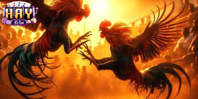 Trận chiến căng thẳng, nơi kỹ năng và chiến lược quyết định thắng bại