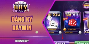 Đăng Ký Haywin Nhanh Gọn, Mở Rộng Không Gian Giải Trí