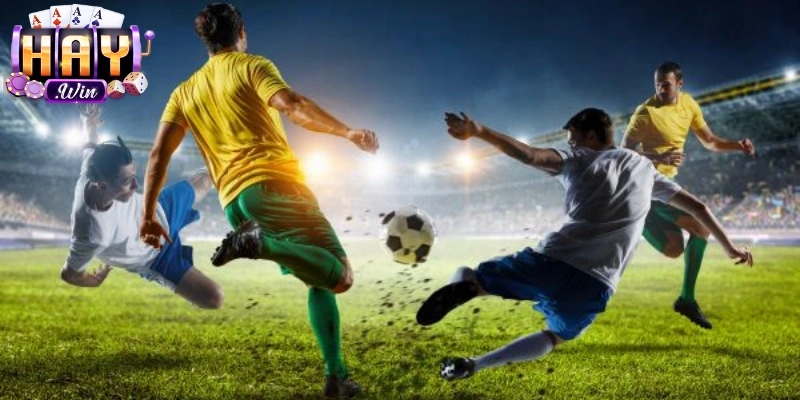 Quan sát biến động liên tục giúp nhận định xu hướng 