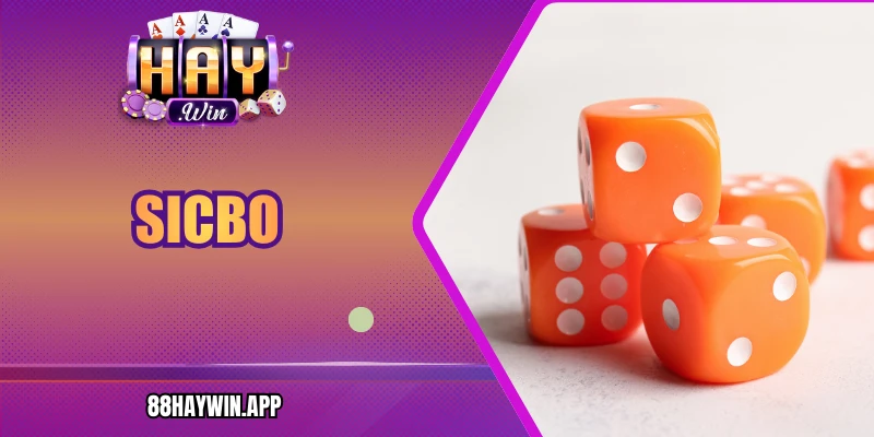 Sicbo Online Haywin - Luật Chơi Và Kinh Nghiệm Chuẩn