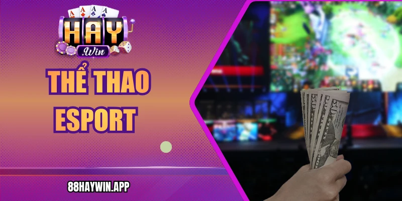 Thể Thao Esport Haywin - Lựa Chọn Game Hiệu Quả Nhất