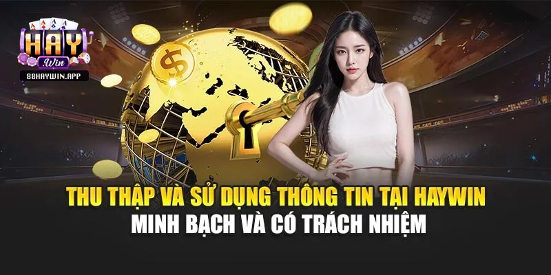 Các loại thông tin Haywin thu thập