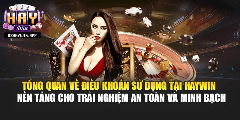 Tổng quan về điều khoản điều kiện Haywin