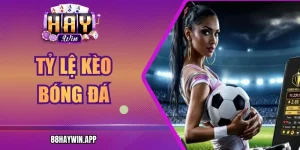 Tỷ Lệ Kèo Bóng Đá Haywin Cách Hiểu Đúng Trước Giờ Bóng Lăn