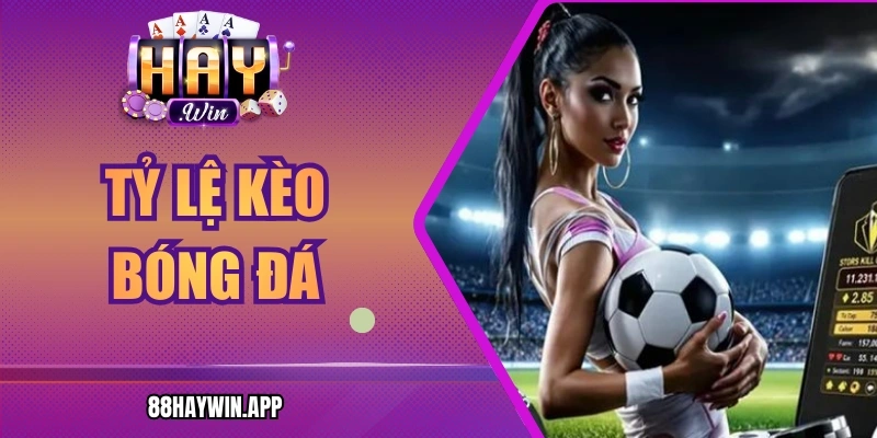 Tỷ Lệ Kèo Bóng Đá Haywin Cách Hiểu Đúng Trước Giờ Bóng Lăn