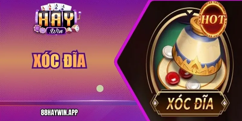 Xóc Đĩa Haywin - Kịch Tính, Hồi Hộp Và Cơ Hội Thắng Lớn